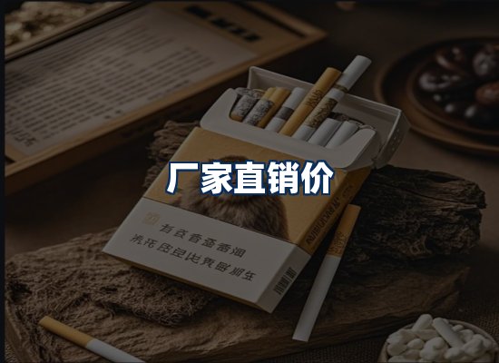 专业团队办公环境